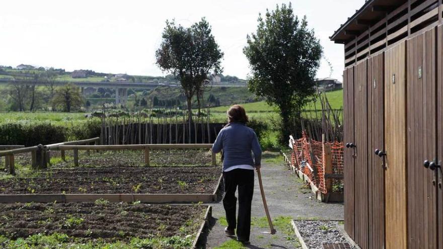 Una mujer en un huerto en la zona rural gijonesa.