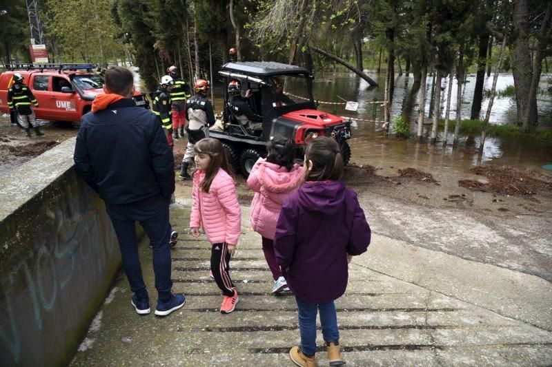 Impresionantes imágenes de la crecida del rio en Gelsa, Pinta y Quinto de Ebro