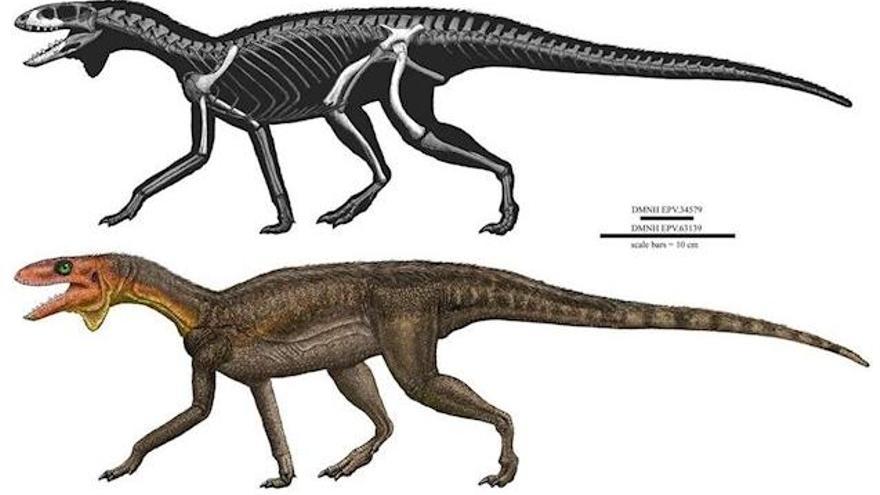 Conoce a Kwanasaurus, un temprano pariente de los dinosaurios