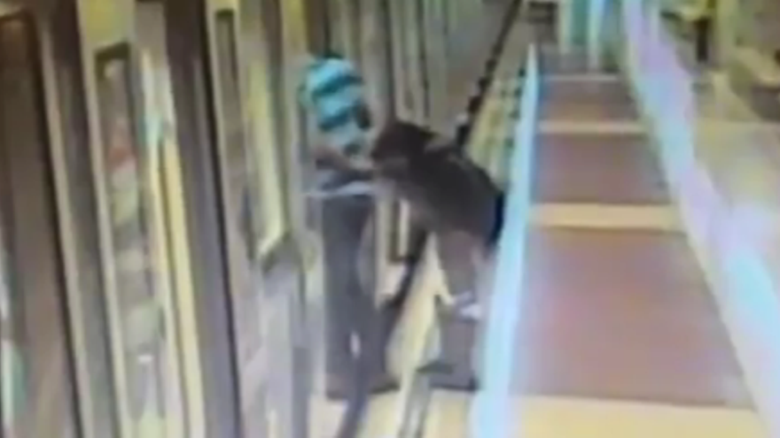Un vídeo d&#039;una jove orinant, nou capítol incívic al metro