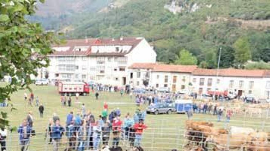 Aspecto parcial de la Feria de San Cipriano, ayer, en Panes.