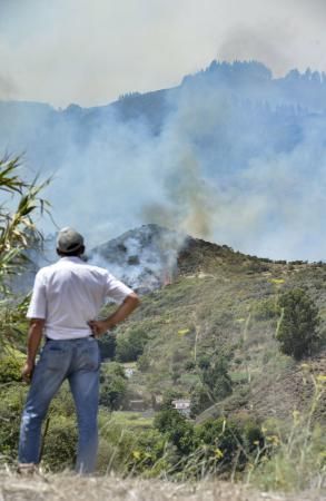 Incendio desde Moya: Daños y avance de las llamas