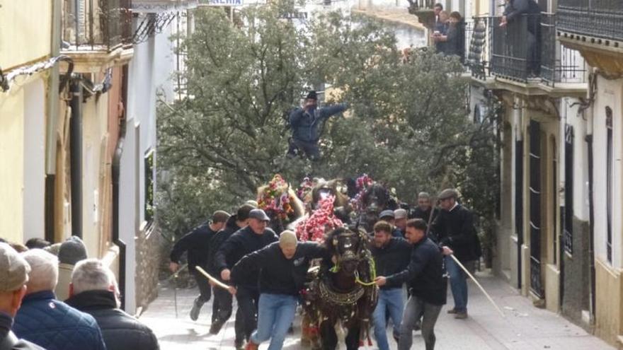 Vídeo: 'Rossegades' en la fiesta de Sant Antoni de Albocàsser