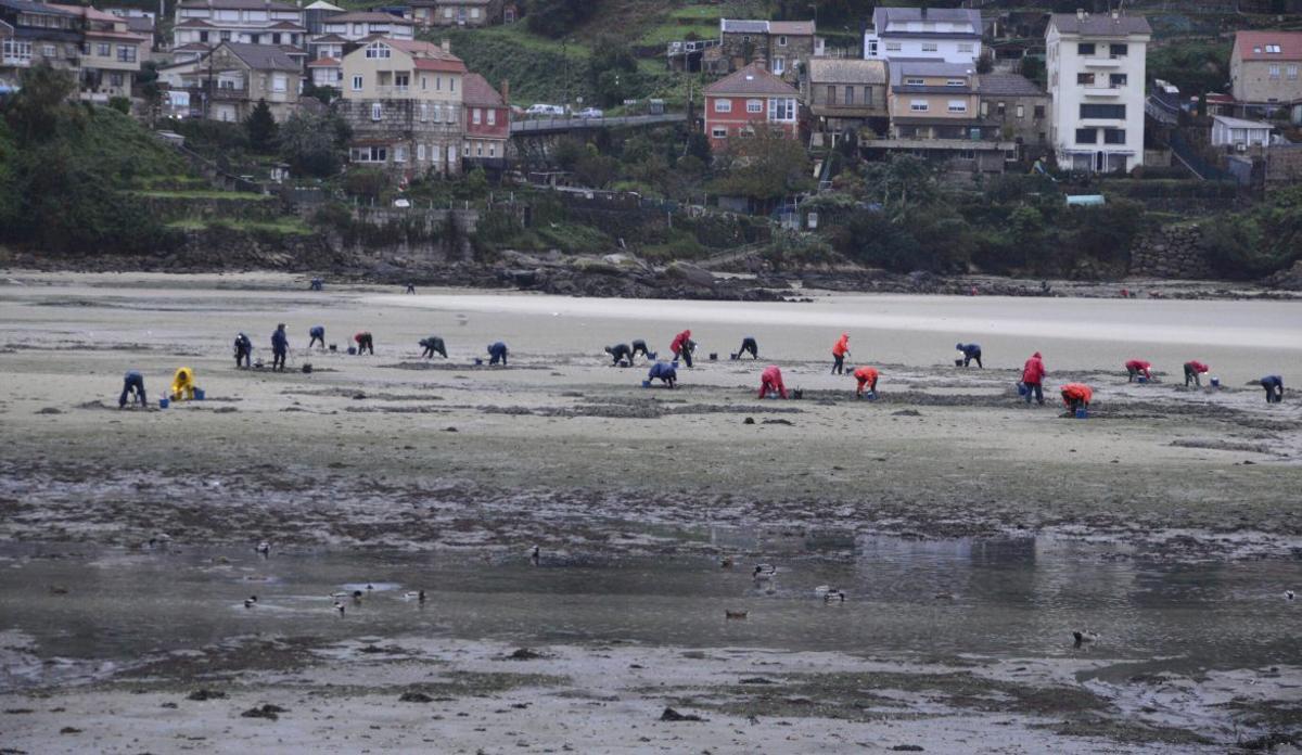 Otro momento del trabajo ayer en la playa de Meira. |  Gonzalo Núñez