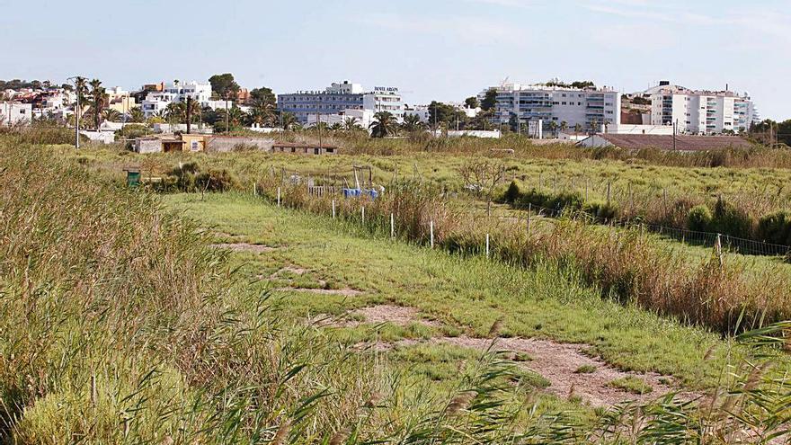 Algunos vecinos han desbrozado en la zona de las canalizaciones.