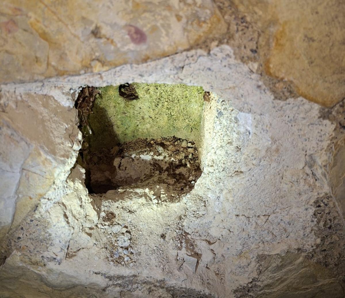 Hueco donde la reina de la avispa asiática hizo el nido en Gilet.