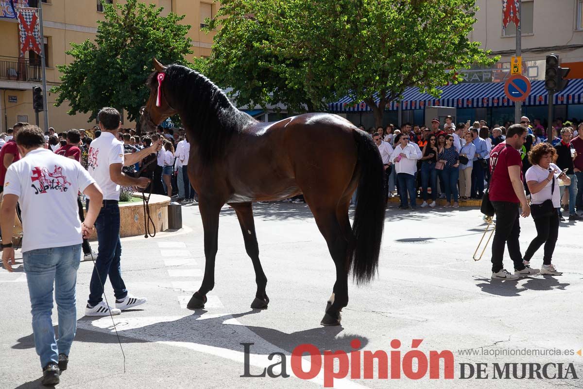 Pasacalles caballos del vino al hoyo