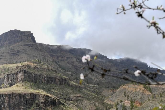 GRAN CANARIA 26-01-2019  SANTA LUCIA DE TIRAJANA-SAN BARTOLOME DE TIRAJANA. Fotos al macizo de Amurga. Fotos a los terrenos de la familia de Román comprados por el Cabildo.  FOTOS: JUAN CASTRO