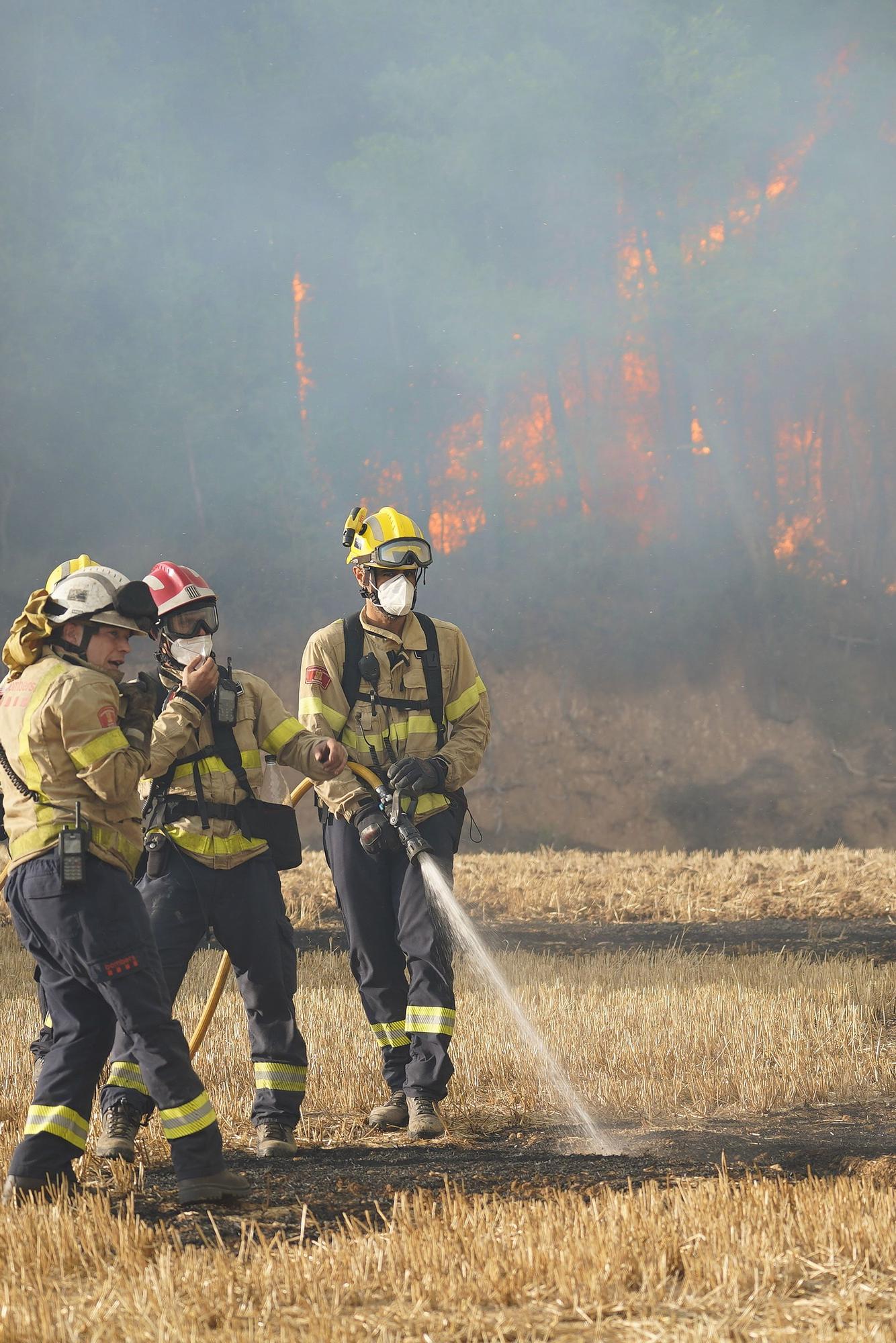 Les imatges de l'incendi de Ventalló i Vilopriu