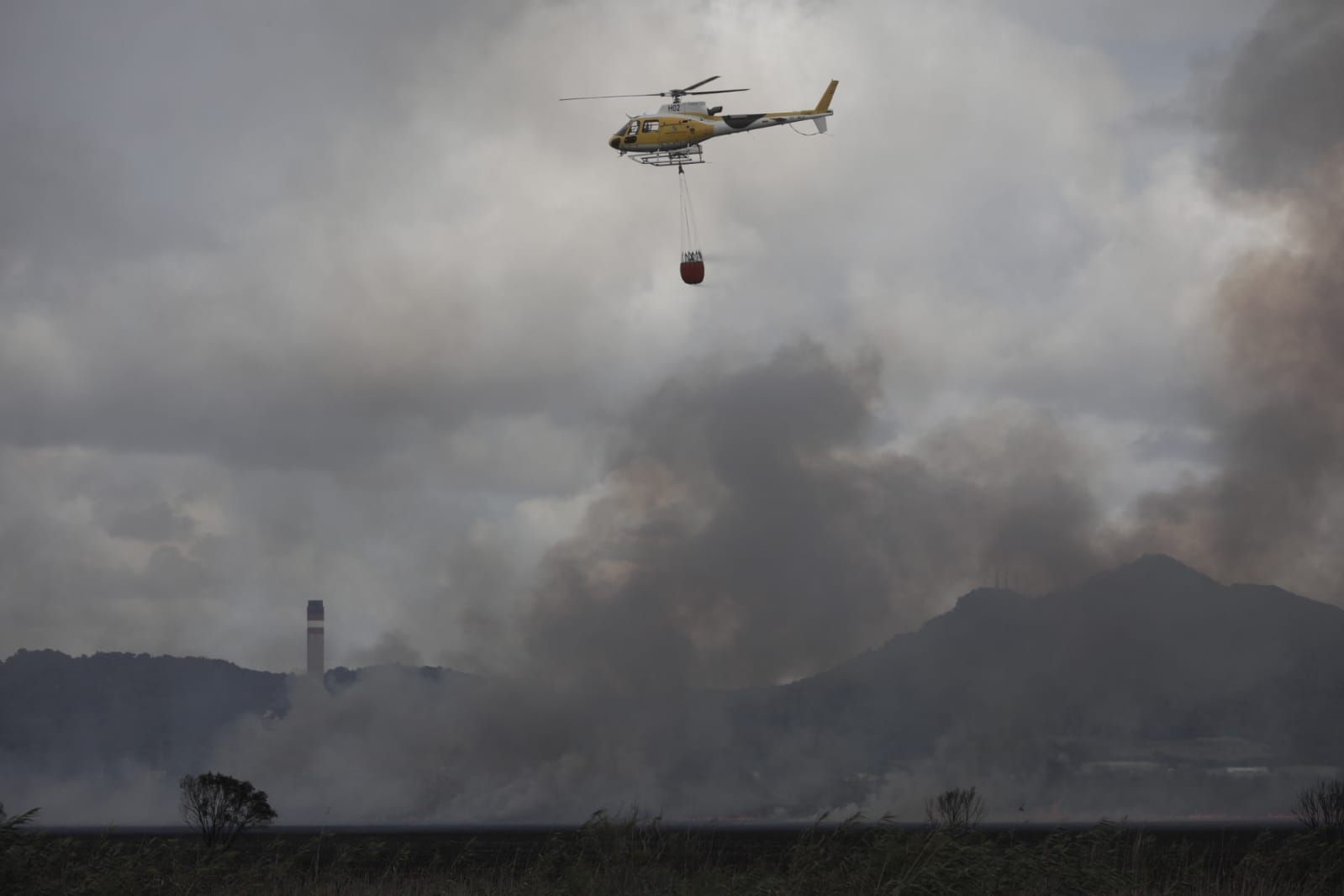 Incendio en s'Albufera de Muro