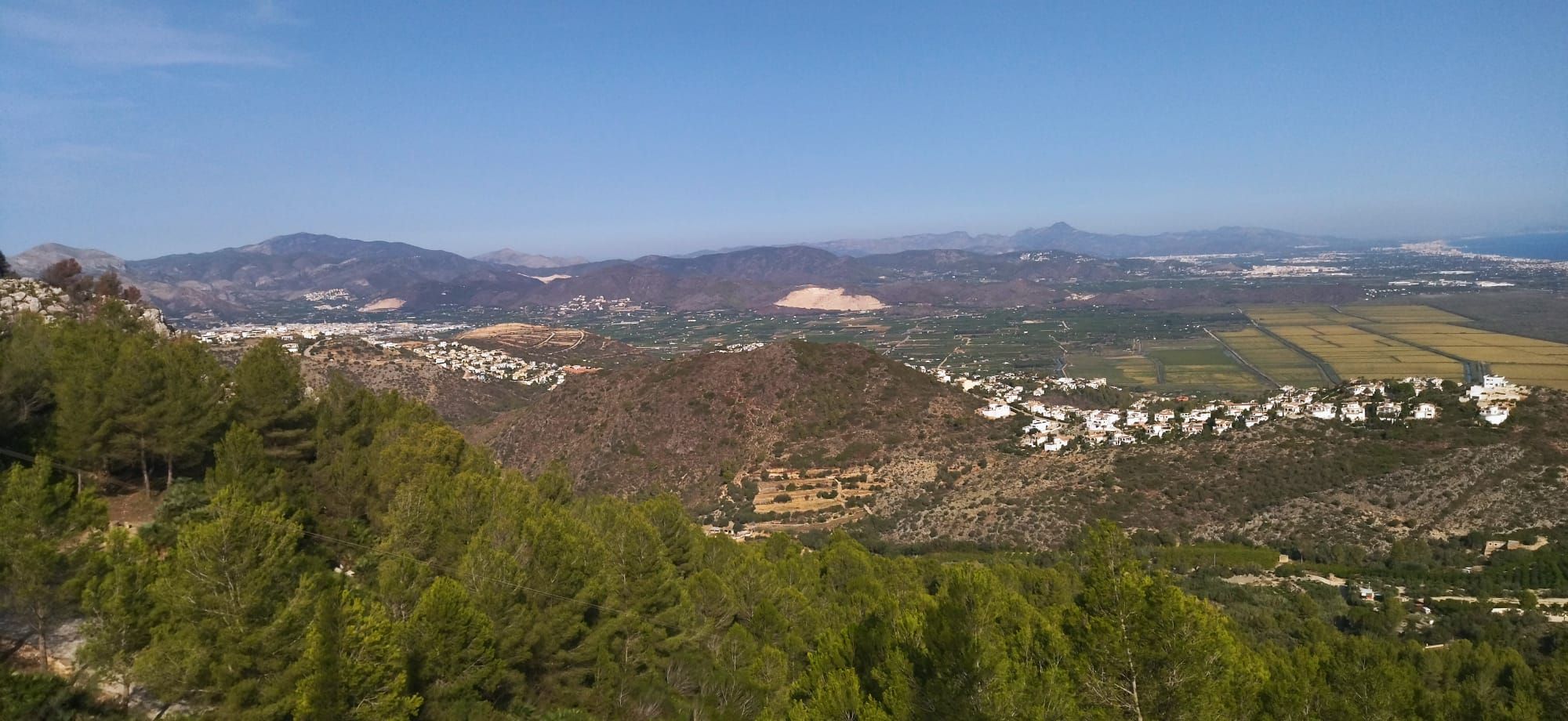 Arroz al norte y naranjos al sur: el paisaje agrícola desde la cima de Segària (imágenes)