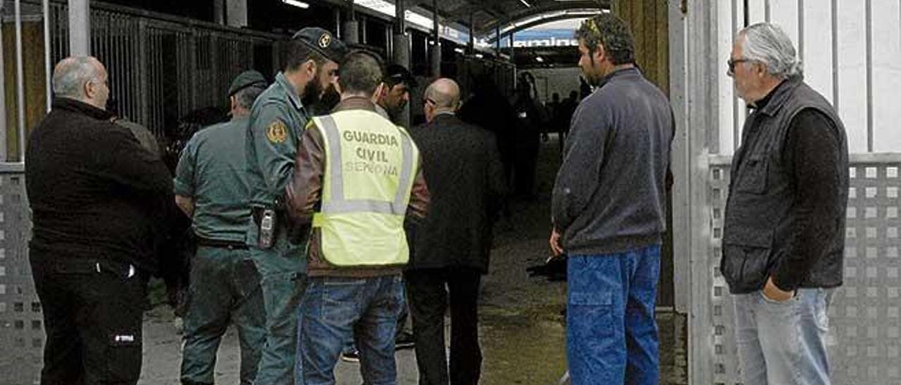 Imagen de la intervención en Son Pardo de la Guardia Civil en abril del año 2015.