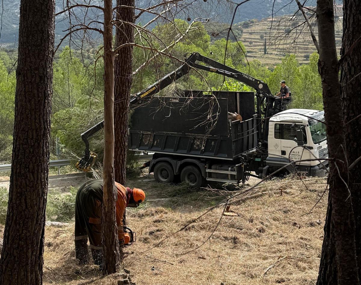 Imagen de unos operarios realizando tareas de eliminasción de vegetación en el Ballestar.