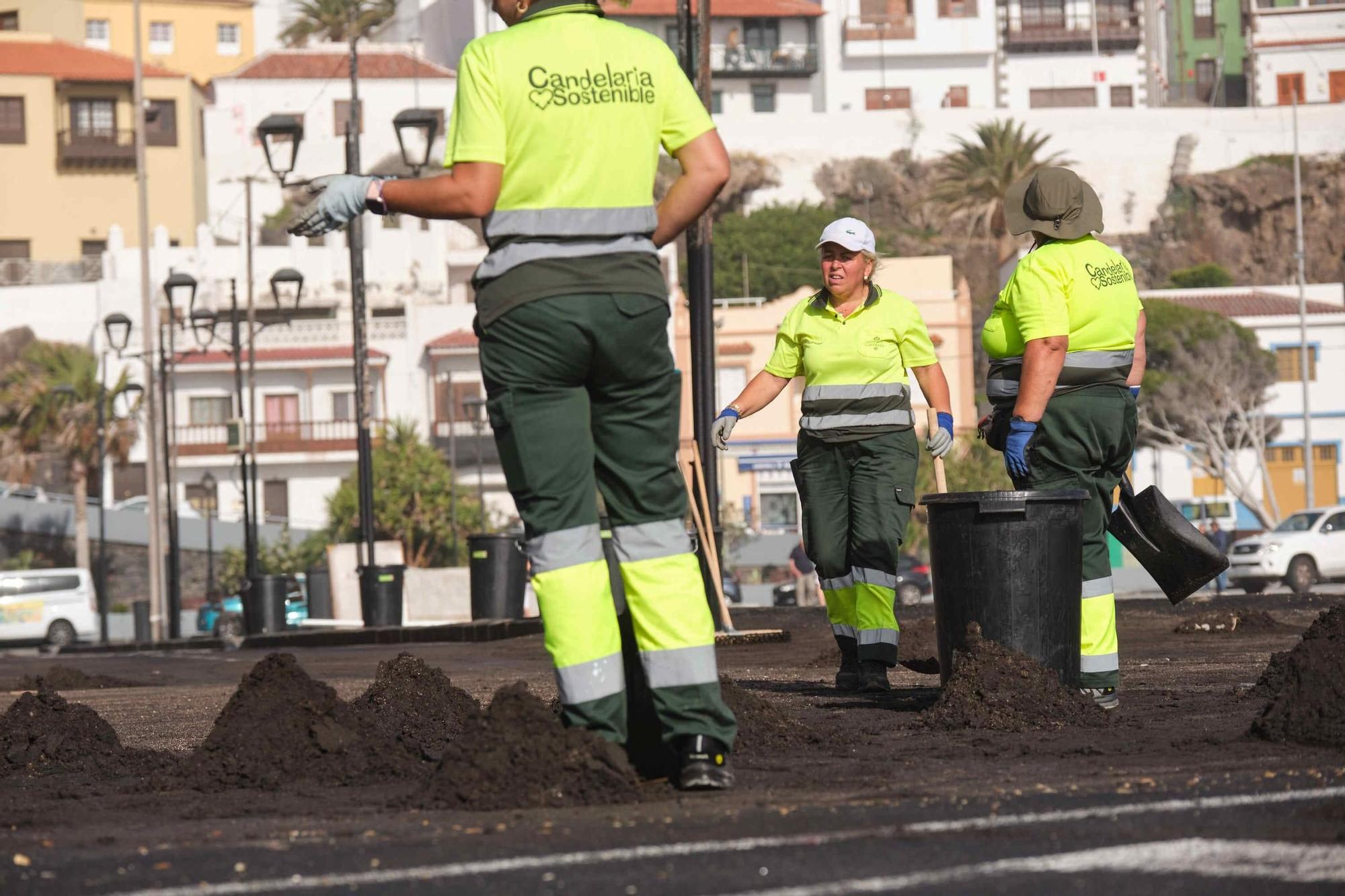 Efectos del fuerte oleaje en la costa de Tenerife