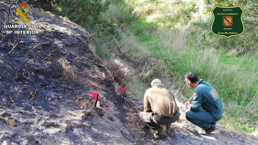 Investigación de los incendios por parte del Seprona y el Govern