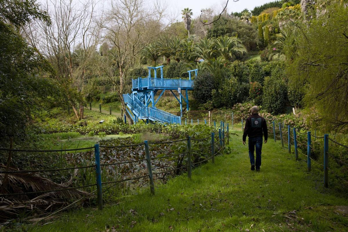 EN IMÁGENES: Así es el bosque-jardín de Luarca EN IMÁGENES: Así es el bosque-jardín de Luarca