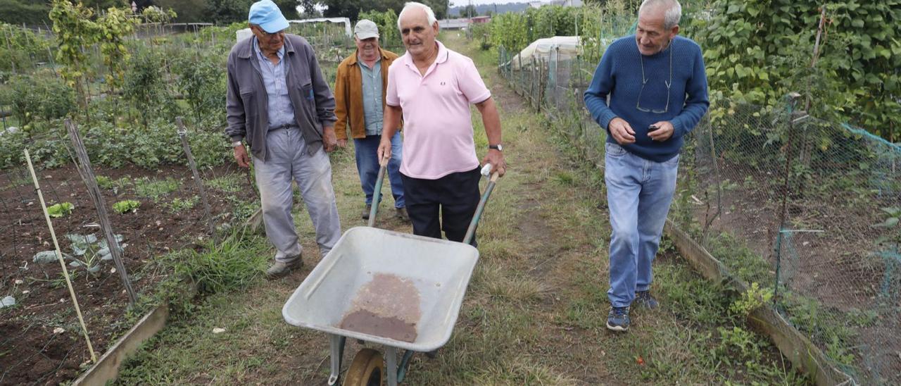 Por la izquierda, Esteban Toral, Jesús Coro, José Manuel González y Ramón Erice, ayer, por uno de los pasillos de los huertos de Leorio. | Marcos León