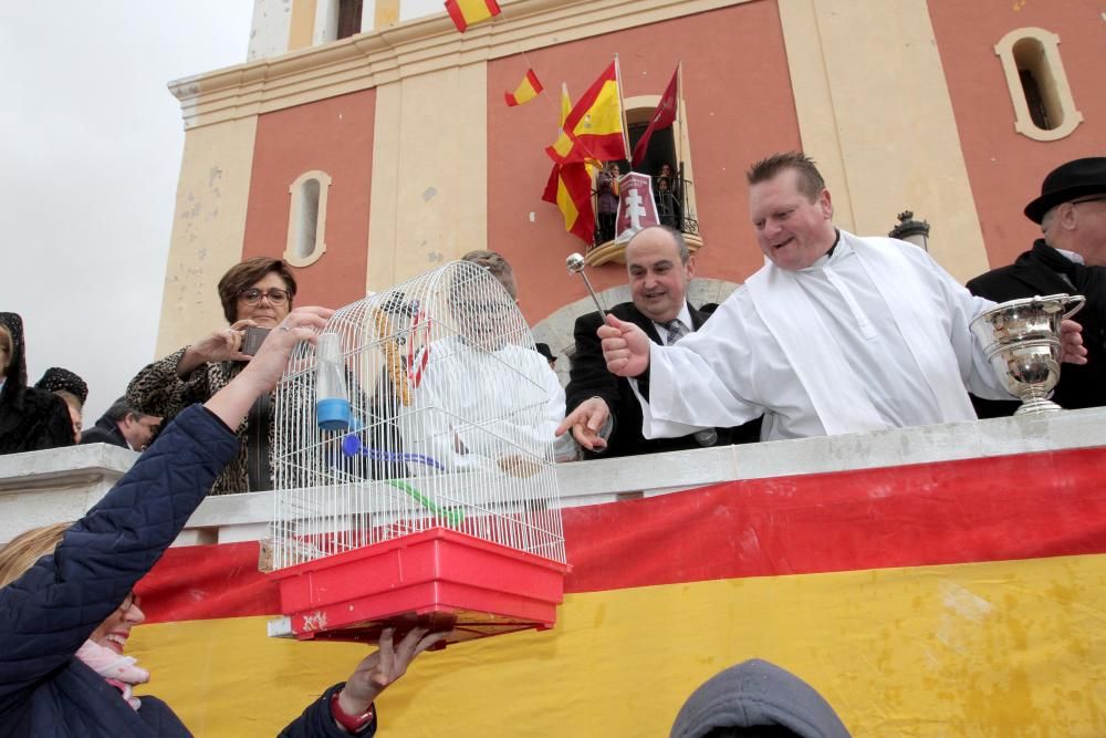 Bendición de los animales en Cartagena