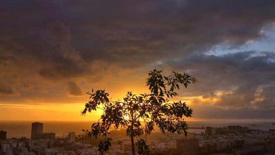 Amanecer en la ciudad desde el Mirador de Schamann. Las Palmas de Gran Canaria. Domingo 03/03/2019