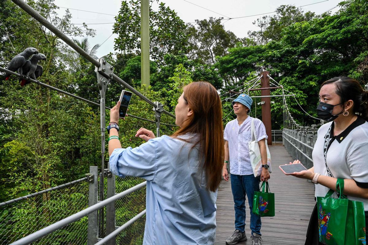 Singapur estrena el parque Paraíso de los pájaros