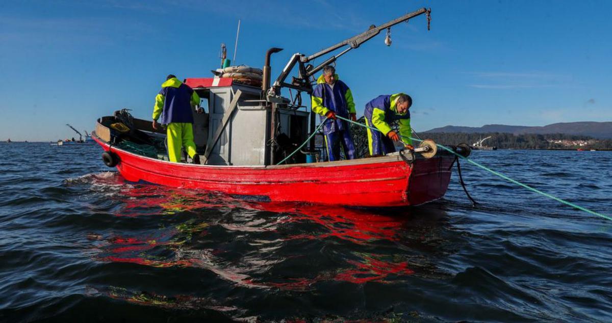 Muchos de los barcos cuentan con tres tripulantes. |  Iñaki Abella