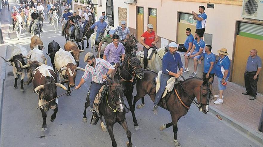 Más de 100 caballos custodian a las reses de ‘El Gallo’ en la primera entrada campera