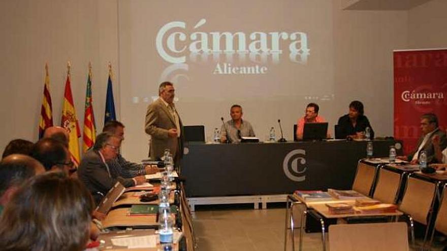 Los viveristas se reunieron en la Cámara de Comercio de Elche.