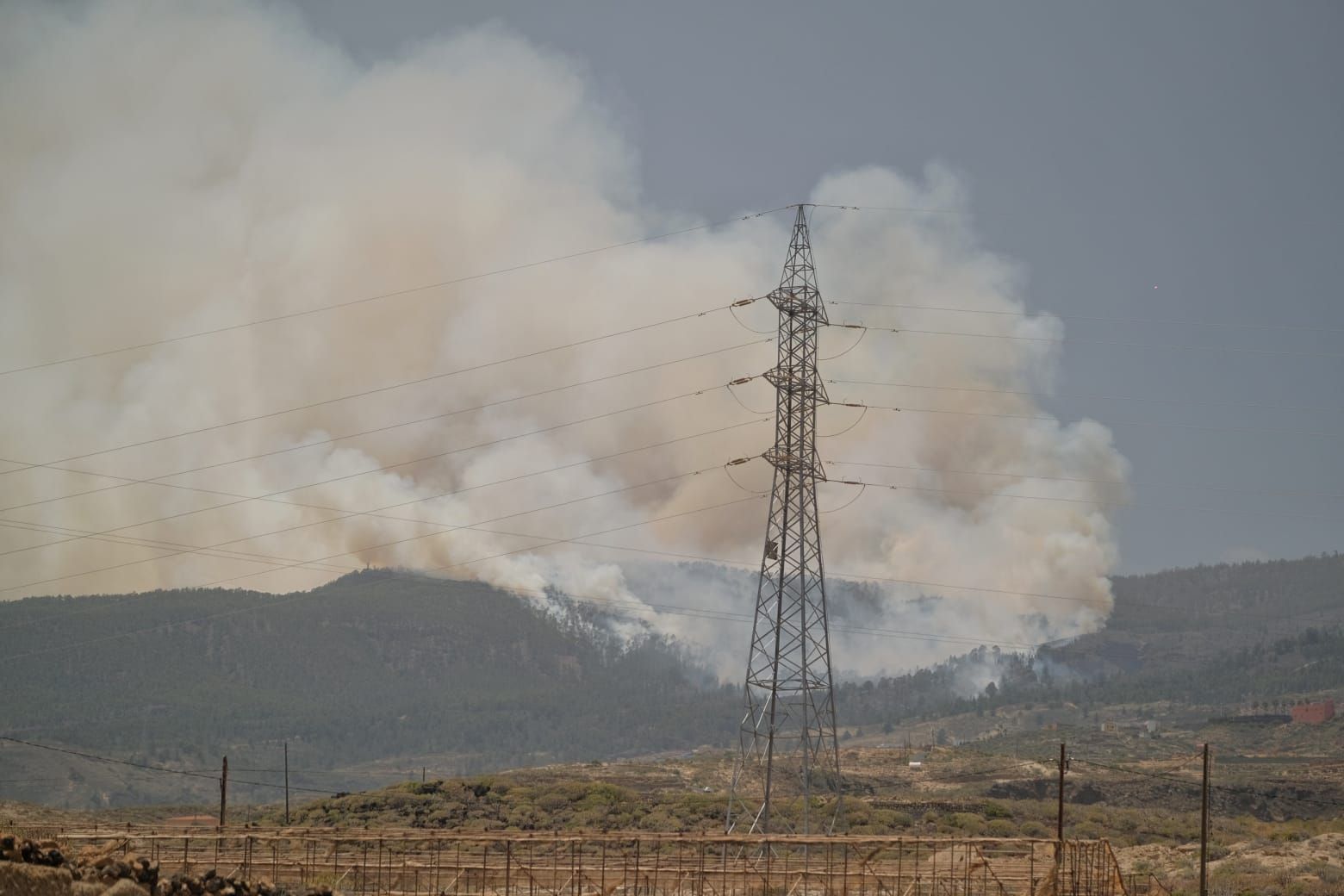 Incendio forestal en Arico