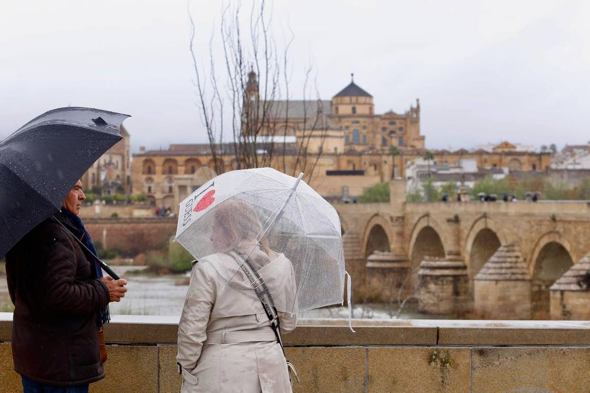 Dos personas se protegen de la lluvia bajo sus paraguas frente al Puente Romano de Córdoba.