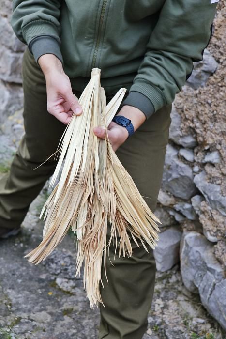 Das in Artà und Capdepera traditionelle Flechten von Palmzweigen ist gar nicht so leicht – und erfordert einen langen Arbeitsprozess.