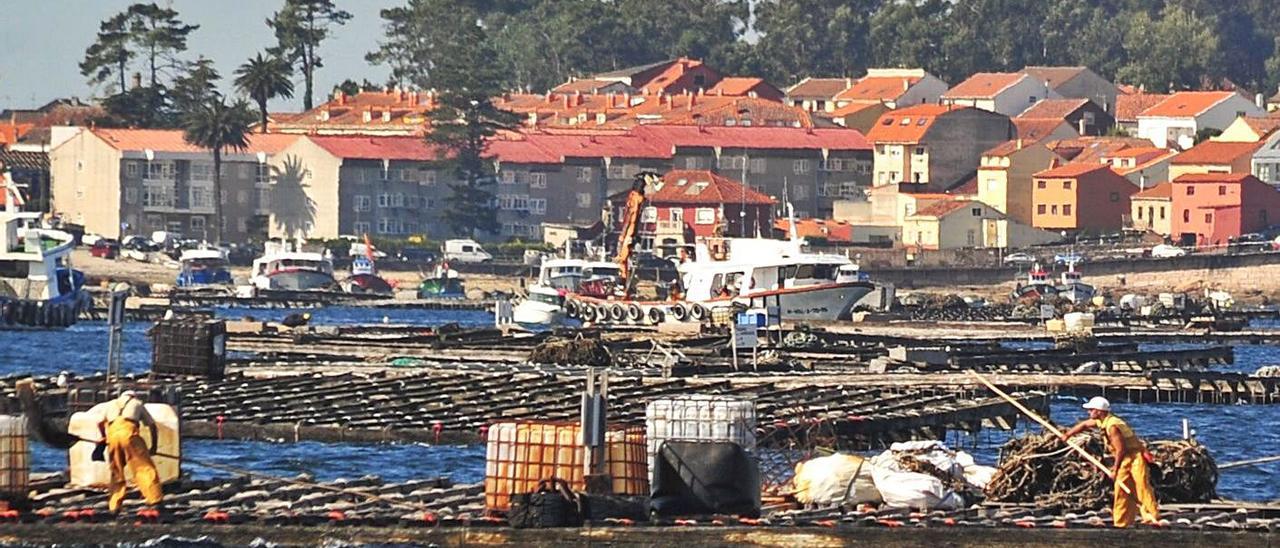 Bateas repletas de bidones, sacos, cuerdas y palillos sobre sus emparrillados de madera.