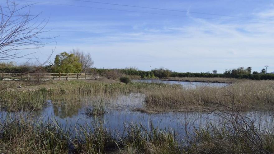 Tavernes recuperará los ullals próximos a la playa