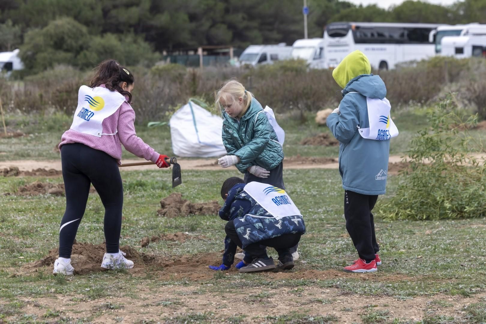Jornada escolar plantación de especies autóctonas junto al parque natural de las lagunas de Torrevieja y La Mata