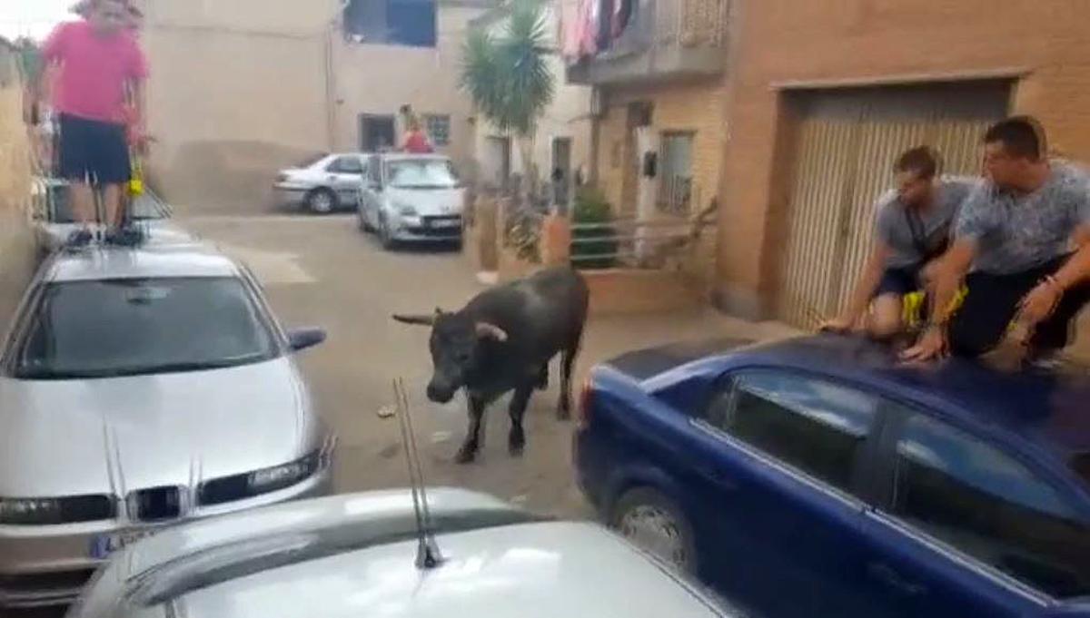 Un toro s’escapa durant un ’encierro’ a Alfamén (Saragossa) i fereix una nena, el dilluns 15 d’agost.