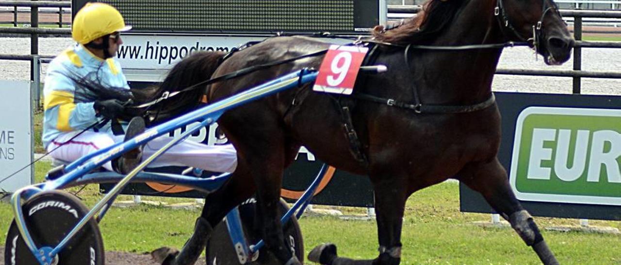 Trébol, dirigido por Biel Pou, en la parte final de su carrera belga del pasado domingo.