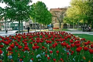 No es Ámsterdam, pero Castilla y León tiene este parque que se llena de tulipanes