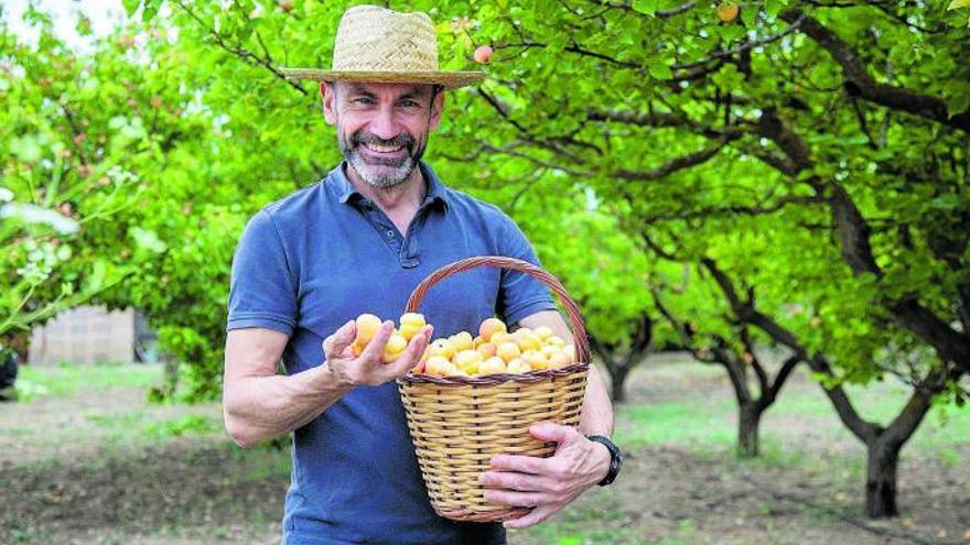 Früher als sonst: Auf Mallorca lockt wieder das Fest der süßen Aprikosen