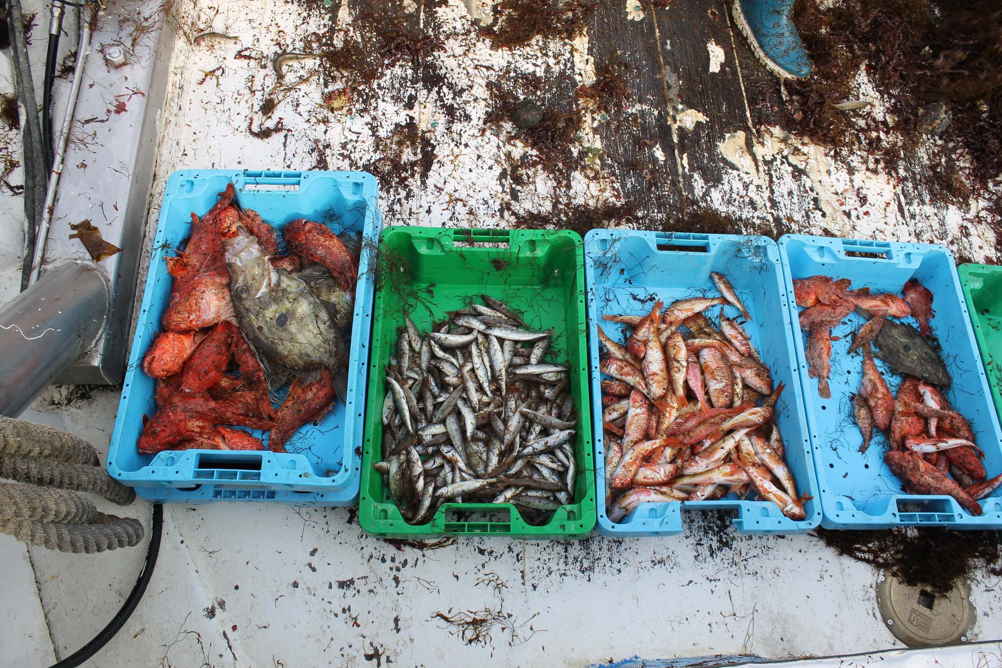 A bordo del ‘Charpat Segundo’, uno de los arrastreros convocados a la huelga contra la «criminalización» de la pesca y las medidas de la UE