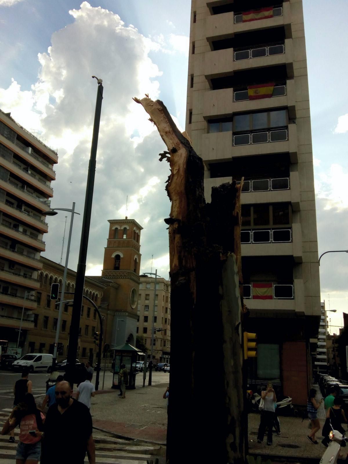 Consecuencias de la tormenta en Zaragoza