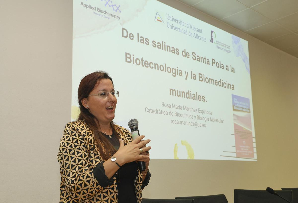 La catedrática de la Universidad de Alicante Rosa María Martínez