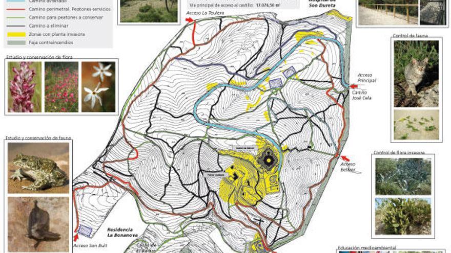 Líneas básicas del plan de uso y gestión del bosque Bellver