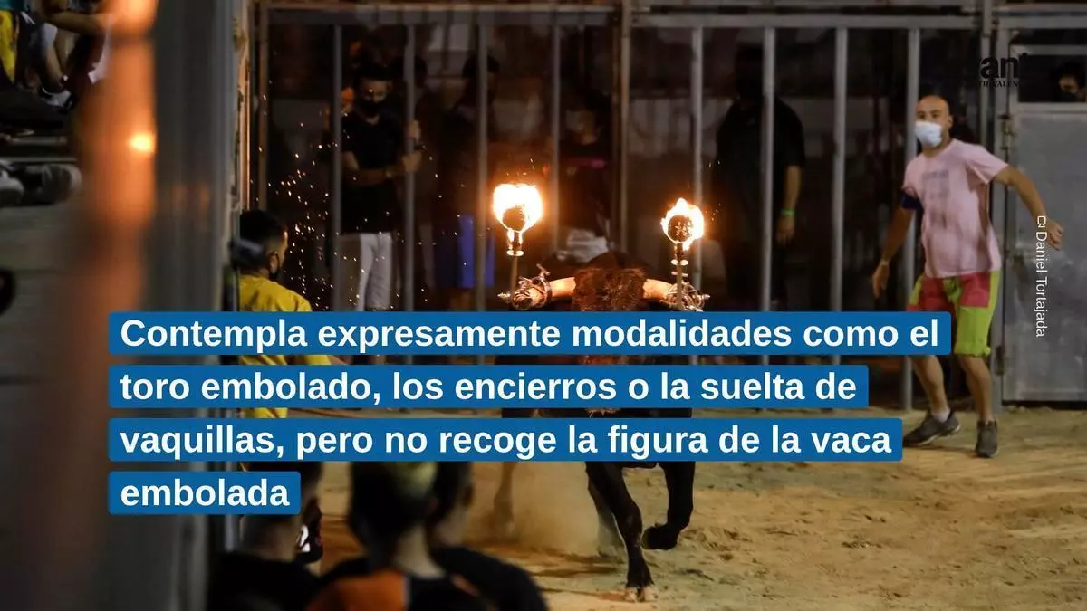 Vacas emboladas en Llíria: ANPBA solicita la nulidad de la autorización porque "la norma solo contempla toros"