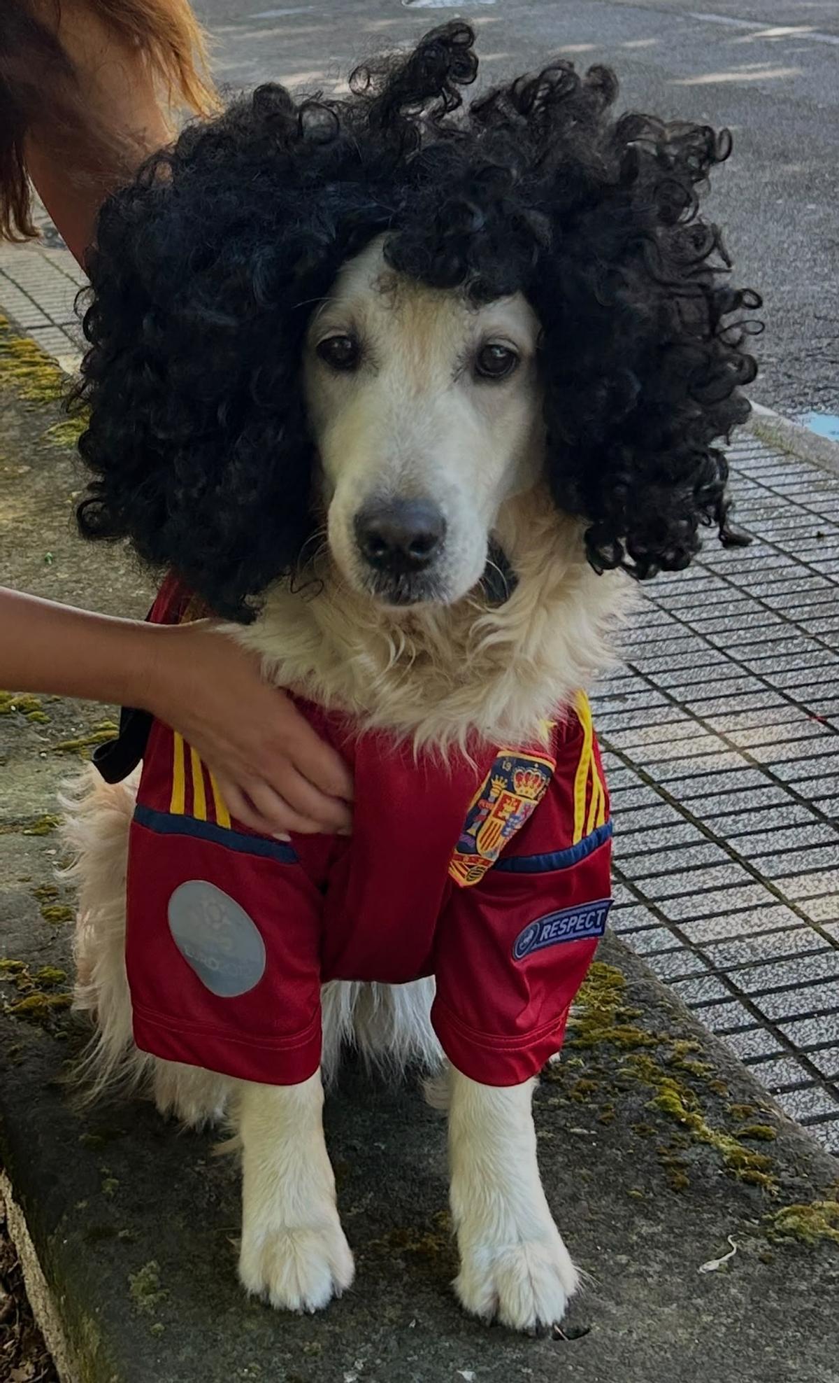 Cucurella, la perra que enamora a Somió
