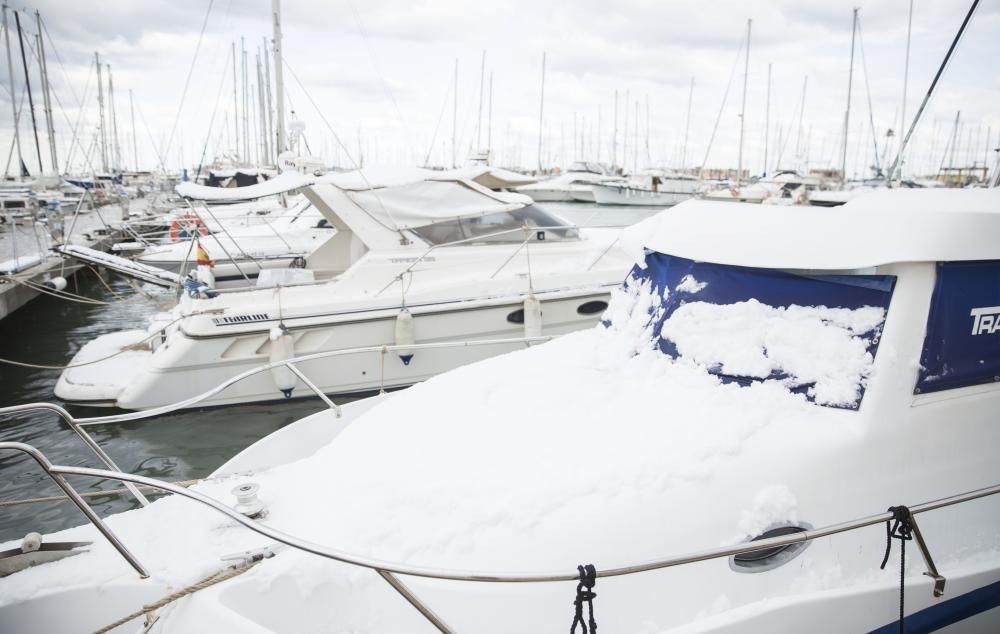 Nieve en Dénia