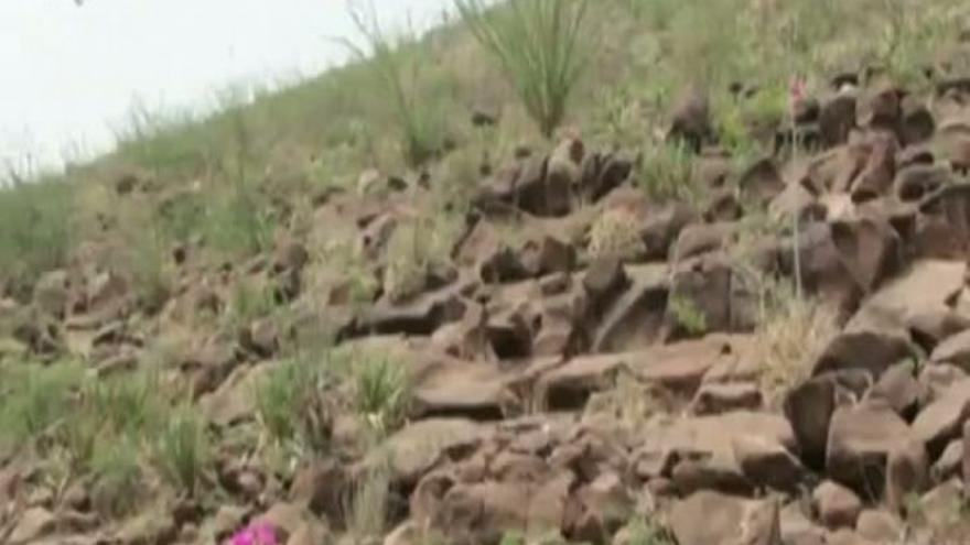 Las maravillas del desierto blanco de Coahuila ya están habilitadas para el público