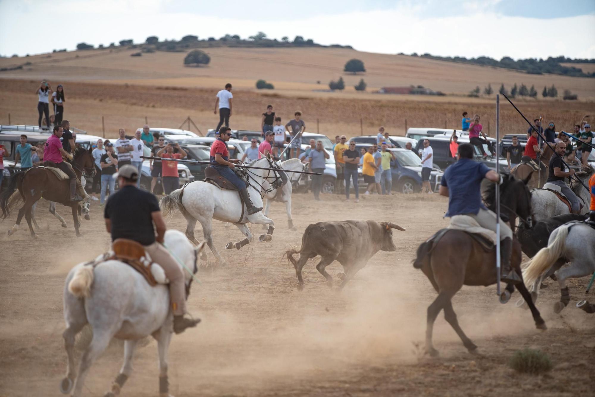 GALERÍA| Multitudinario espanto en Carbajales de Alba