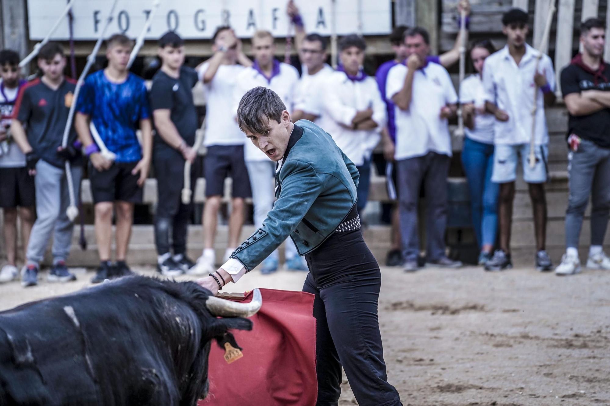 Correde bou de Cardona: imatges de la segona jornada