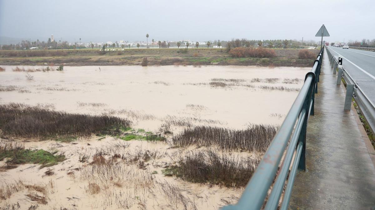 Imagen del río Guadalquivir a su paso por la localidad sevillana de Lora del Río.