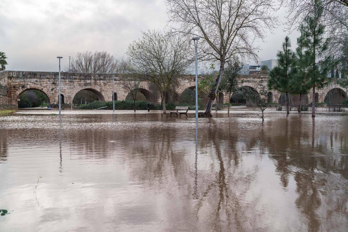 Fotogalería | Así se encuentra este viernes la isla de Mérida tras la subida que ha experimentado el caudal del Guadiana