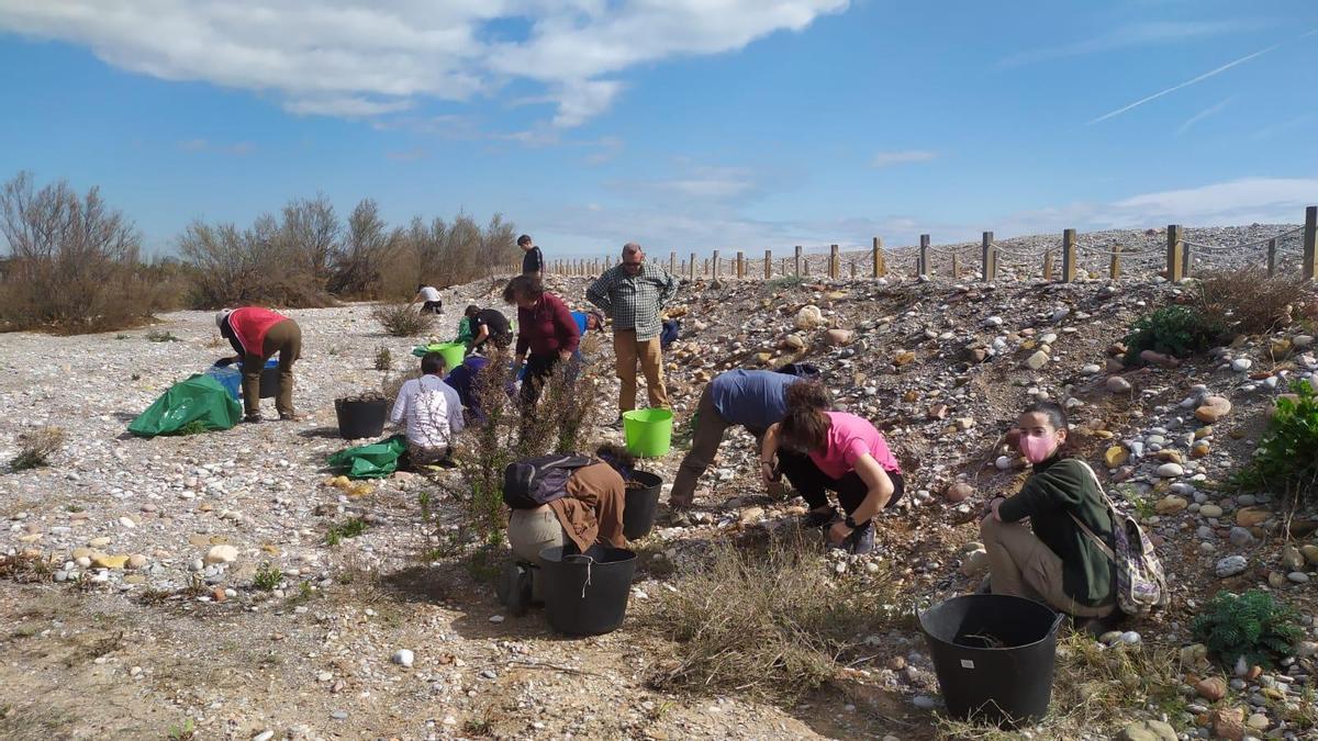 Els voluntaris van retirar en una jornada 435 quilos de plantes i tres de fem.